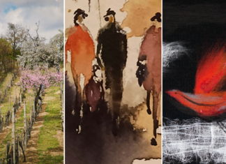 Posledný januárový týždeň s Malokarpatským osvetovým strediskom Vinohrady, otvorený ateliér, Austro vin výstava