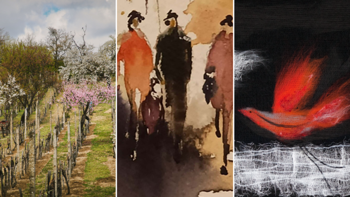 týždeň v kaštieli Vinohrady, otvorený ateliér, Austro vin výstava