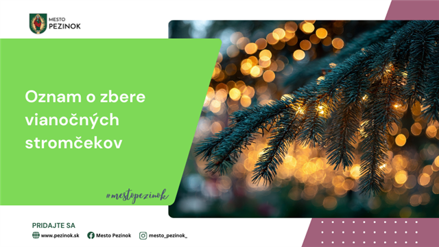 Pezinok organizuje zber vianočných stromčekov v januári 2026