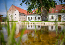 Deň Zeme v Ekocentre Čunovo: Objavte tajomný svet pod zemou Deň Zeme v Ekocentre Čunovo: Objavte tajomný svet priamo pod našimi nohami