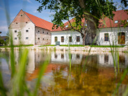Deň Zeme v Ekocentre Čunovo: Objavte tajomný svet pod zemou Deň Zeme v Ekocentre Čunovo: Objavte tajomný svet priamo pod našimi nohami