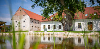 Deň Zeme v Ekocentre Čunovo: Objavte tajomný svet priamo pod našimi nohami