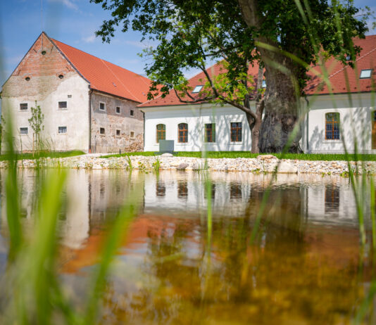 Májové neresenie: jarné tajomstvá prírody Ekocentrum Čunovo