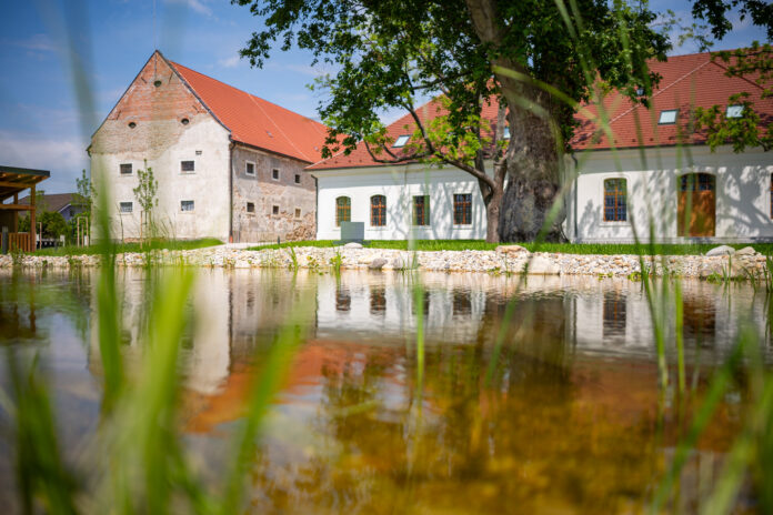 Deň Zeme v Ekocentre Čunovo: Objavte tajomný svet priamo pod našimi nohami