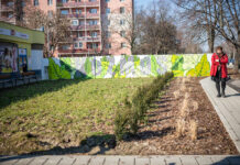 Revitalizácia priestoru Kozmos v Ružinove