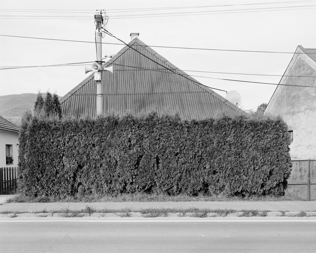 Dominika Jackuliaková