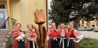 Pamätník Tulipán v Čataji