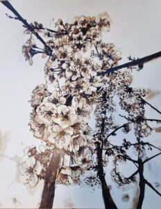 Obraz Martiny Michnicovej 