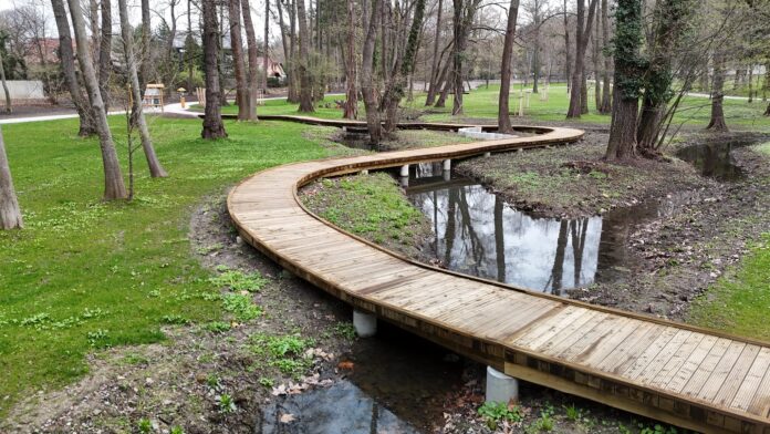 55183733388_a7a10140a9_k