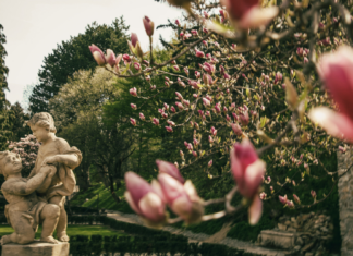Priestory Malokarpatského osvetového strediska ožívajú jarnou atmosférou a návštevníkom ponúkajú možnosť načerpať silu a inšpiráciu