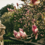 Sochy a magnólia v záhrade kaštieľa v Modre