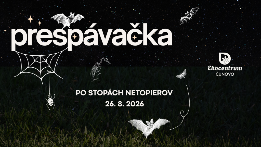Augustová prespávačka v Ekocentre Čunovo: Deti spoznajú svet netopierov a pomôžu im vytvoriť nový domov