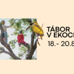 Letný tábor v Ekocentre Čunovo: Staň sa objaviteľom dunajskej prírody