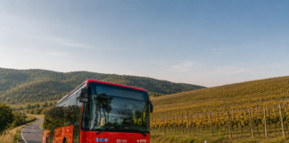 ARRIVA počas Modranského vinobrania posilní dopravu a dočasne odkloní linky v centre Modry