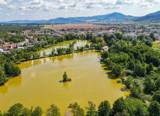 Rohožník: Celodenný výlet do srdca Záhoria medzi vodou, históriou a Malými Karpatmi