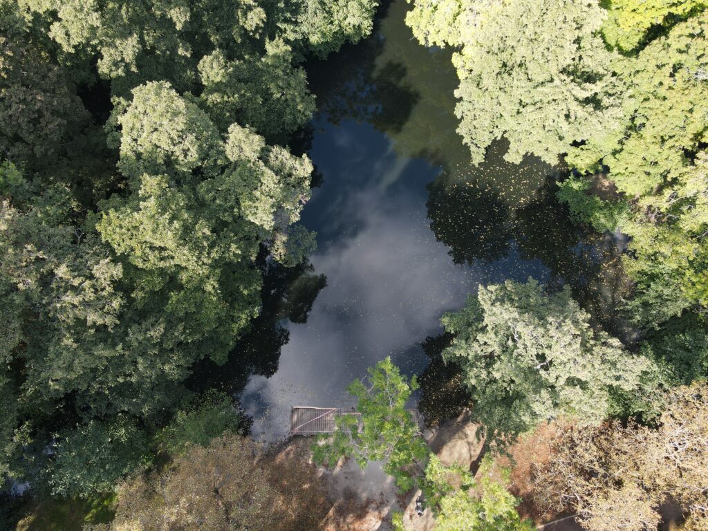 Zámocký park Pezinok