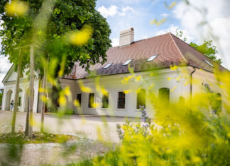 Sad plný života: Jablkové hodovanie v Ekocentre Čunovo
