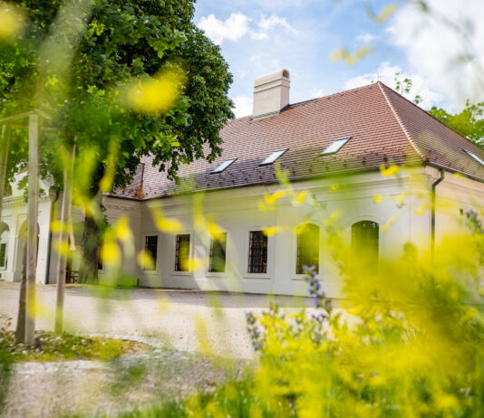 Sad plný života: Jablkové hodovanie v Ekocentre Čunovo