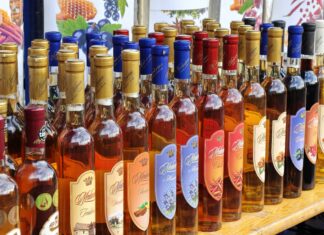 Račianske vinobranie prinesie tri dni tradícií, vína a hudby. Vystúpia Richard Müller, No Name aj Honza Nedvěd ml. Račianske vinobranie