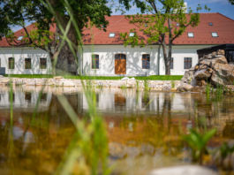 Posledný októbrový večer sa historický kaštieľ v Čunove premení na miesto plné tajomných príbehov, dobrodružných hier a nočného pátrania