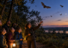 Batwatching Čunovo vás zavedie z Ekocentra do blízkeho Čunovského lesa