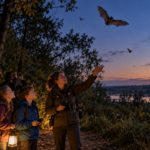 Batwatching Čunovo vás zavedie z Ekocentra do blízkeho Čunovského lesa Batwatching Čunovo vás zavedie z Ekocentra do blízkeho Čunovského lesa